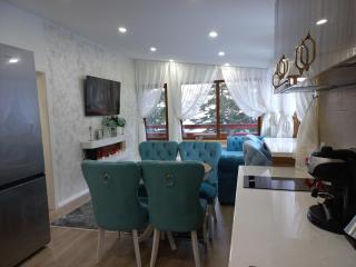 Kalinderu luxury ski loft - 6