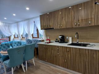 Kalinderu luxury ski loft - Buşteni - 4
