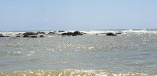 Apartamento na Reserva Imbassai - 3