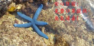 Jia Yuan Homestay - 9