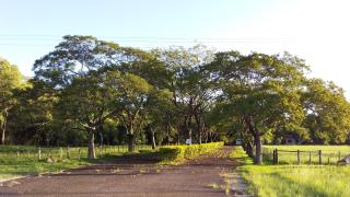 Estância Timbaúva - 9