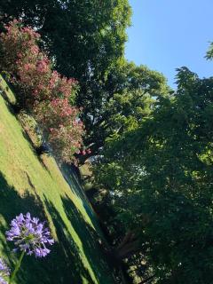 Las Piedras - Casa de Campo - 8