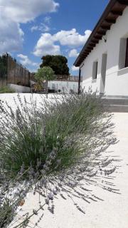 la Perla Casa Rural sostenible - Hiendelaencina - 3