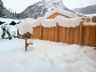 Puitbach Chalet - 8