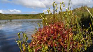 Kråkehaugen Feriehus, a perfect holiday retreat near Åheim - 9