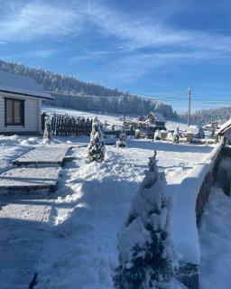 Гостьовий дім Круасан Сімейний - Bukovel - 0