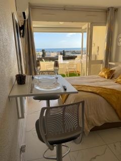 SHOWTIME NATURISTE PORT NATURE 6 parking privé clim ascenseur vue mer - 7