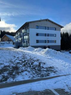 Útulný jednopokojový apartmán v alpském stylu na Klínovci - Loučná pod Klínovcem - 8