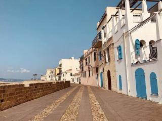 Alghero Palazzo Albis in pieno centro per 8 persone - 5