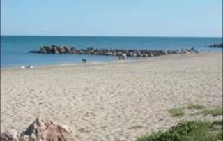 Clair de plage - Frontignan - 0