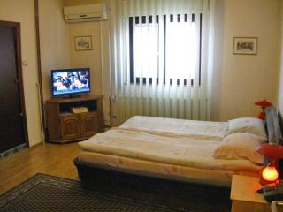 Amfora Rooms Caribrod - Dimitrovgrad - 9