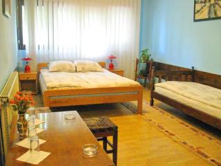 Amfora Rooms Caribrod - 7