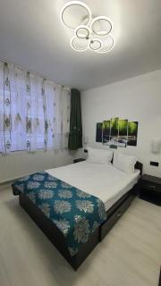 Apartament Fodor - Topliţa - 9