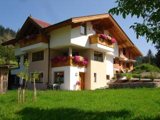 Haus Gföller - Niederau - 0