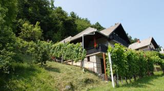 Vineyard Cottage Zajc - Semič - 9