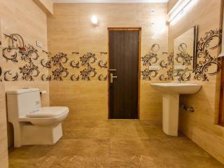 The Ireland - Manali - 4