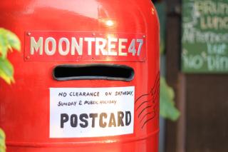 MoonTree47 - George Town - 5