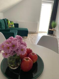 Apartamenty - Pod Wierzbami - Dwikozy - 7