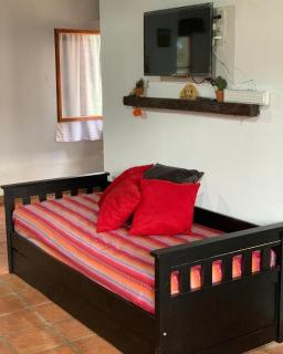 Pasillos del Viñedo - Cafayate - 5