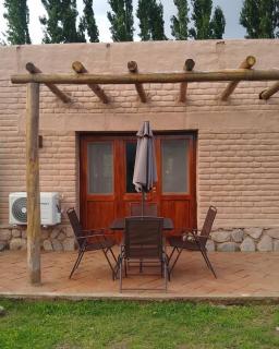 Pasillos del Viñedo - Cafayate - 1