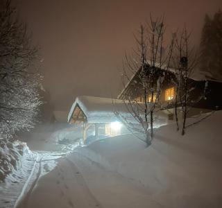 Chalet du Meilly - 8