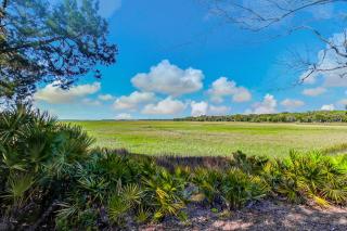 3117 Marsh View - Fernandina Beach - 5