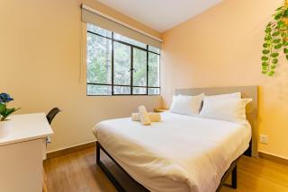 Casa Danubio Reforma by VH - 2