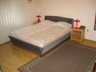 Amfora Rooms Caribrod - Dimitrovgrad - 7