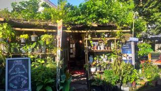 Jimmy and Jeng Homestay - Chiang Mai - 0