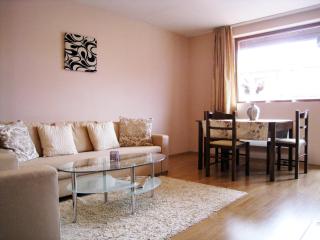 Solar nest with fireplace and panoramic view 700m from skilift and centrum - Bansko - 3