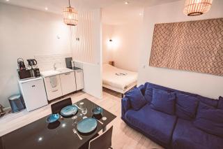 SOCOTRA - Logement Climatisé en Centre-Ville - Reims - 0