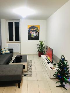 Superbe appartement - Roanne - 2