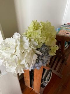 Casa da Carqueja - 3