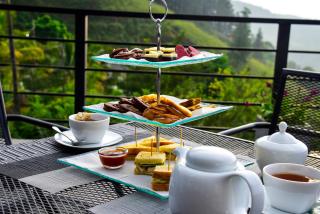 Pine Hill Residence - 7