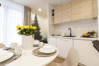 Mountain Apartments Bogdańskiego Residence - 2