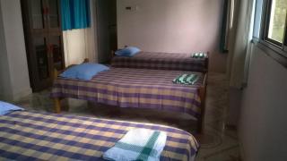 Gumnut Beach House - 6