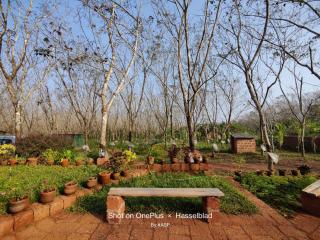 Kudil Mud Cottages, Cheemeni - 4
