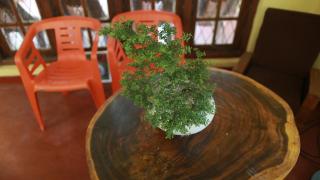 Hunnas View Home Stay - 3