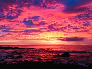 The Wave Surf Inn Midigama - 7