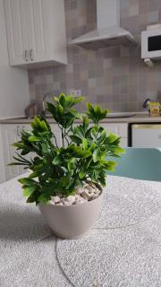 Guimar New Style, tu nueva elección - 6