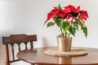 amazing apartments - Torphichen Place by Haymarket - Edimburgo - 2