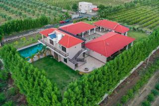 Desert Palms by StayVista in Kutch, nestled in orchards, features a swimming pool and a scenic balcony for a serene getaway - Shinaya - 5