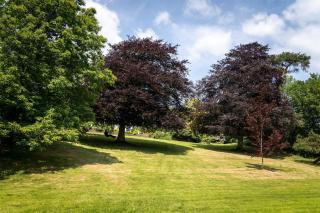 Enchanted Retreats at West Ford Devon - South Molton - 7