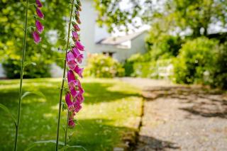 Enchanted Retreats at West Ford Devon - South Molton - 6