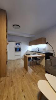 Apartmán Hestia 5 - Rajecké Teplice - 5