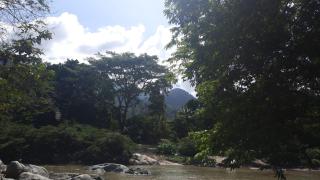 EcoHostal Tierra Prometida - 3