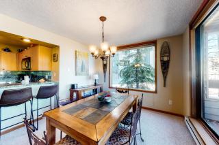 Snowblaze Condominiums - Winter Park - 5