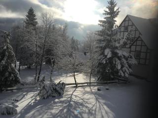 Veltins-Arena FeWo Buchenweg 27 Appartement - Winterberg - 2