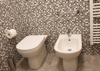 La Francigena - Trebbia House - Piacenza - 4