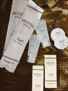 Hotel Ailama Mestia - 3